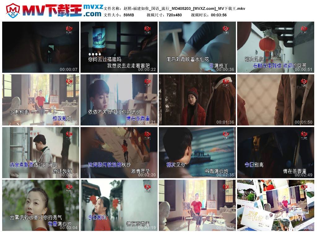 赵照-福建如你_国语_流行_MD405203